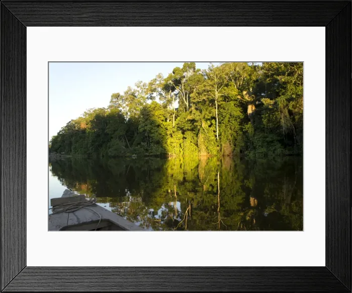 Framed Print : Tourist boat on Lake Salvador, Manu National Park, Peru, South America Framed Print : Tourist boat on Lake Salvador, Manu National Park, Peru, South America