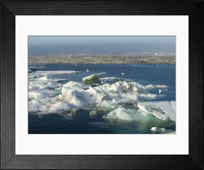 Framed Print : Cape Waring, Wrangel Island, UNESCO World Heritage Site, Chuckchi Sea, Chukotka, Russian Far East, Russia, Eurasia Framed Print : Cape Waring, Wrangel Island, UNESCO World Heritage Site, Chuckchi Sea, Chukotka, Russian Far East, Russia, Eurasia