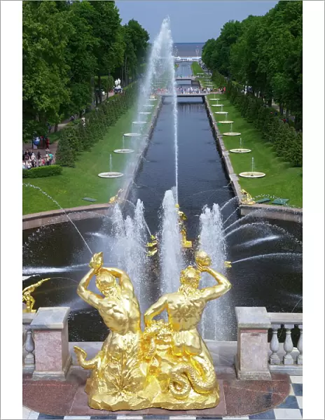 Peterhof Fountains of the Grand Cascade and gardens in summer, Petrodvorets, St. Petersburg, Russia, Europe