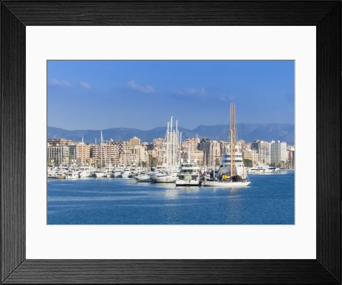 Framed Print : View of Palma de Mallorca harbor, Palma de Mallorca, Majorca, Balearic Islands, Spain, Mediterranean, Europe Framed Print : View of Palma de Mallorca harbor, Palma de Mallorca, Majorca, Balearic Islands, Spain, Mediterranean, Europe