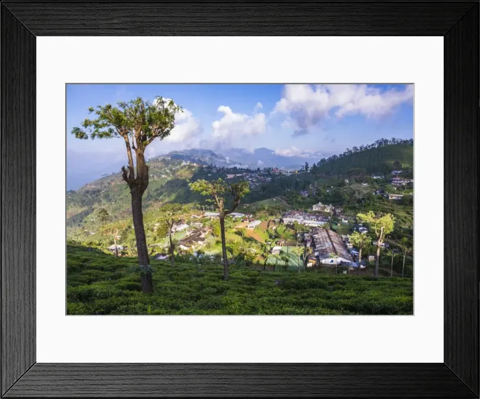 Framed Print : Haputale and a tea estate, Sri Lanka Hill Country, Nuwara Eliya District, Sri Lanka, Asia Framed Print : Haputale and a tea estate, Sri Lanka Hill Country, Nuwara Eliya District, Sri Lanka, Asia