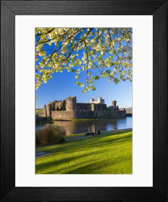 Framed Print : Caerphilly Castle, Gwent, Wales, United Kingdom, Europe Framed Print : Caerphilly Castle, Gwent, Wales, United Kingdom, Europe