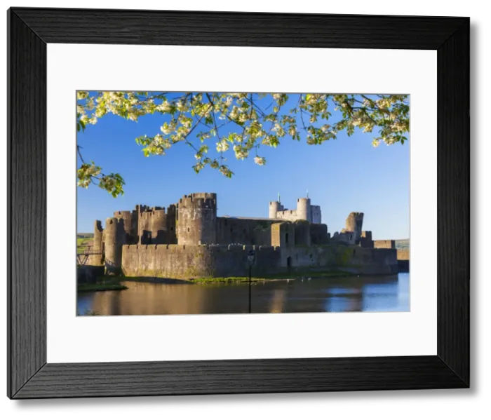 Framed Print : Caerphilly Castle, Gwent, Wales, United Kingdom, Europe Framed Print : Caerphilly Castle, Gwent, Wales, United Kingdom, Europe