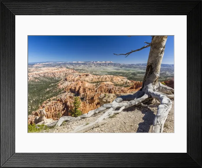 Framed Print : Bryce Canyon Amphitheater from Bryce Point, Bryce Canyon National Park, Utah, United States of America, North America Framed Print : Bryce Canyon Amphitheater from Bryce Point, Bryce Canyon National Park, Utah, United States of America, North America