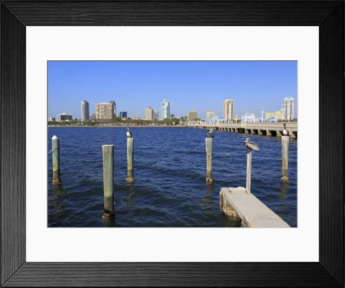 Framed Print : St. Petersburg skyline, Tampa, Florida, United States of America, North America Framed Print : St. Petersburg skyline, Tampa, Florida, United States of America, North America
