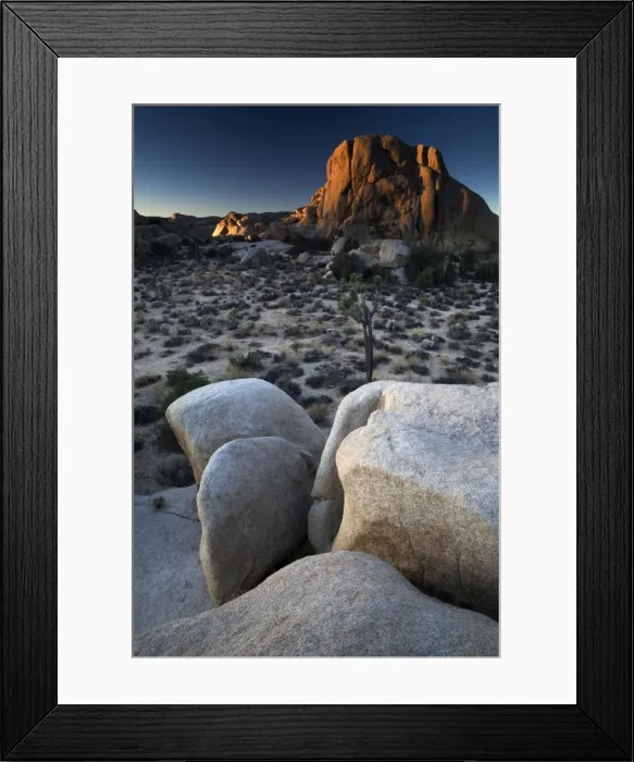 Framed Print : Landscape, Joshua Tree National Park, California, United States of America, North America Framed Print : Landscape, Joshua Tree National Park, California, United States of America, North America