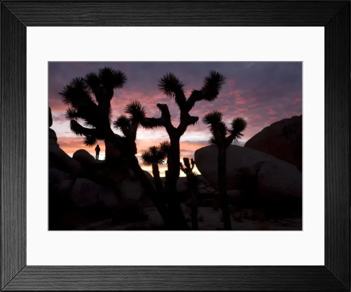 Framed Print : Woman watching sunset, Joshua Tree National Park, California, United States of America, North America Framed Print : Woman watching sunset, Joshua Tree National Park, California, United States of America, North America