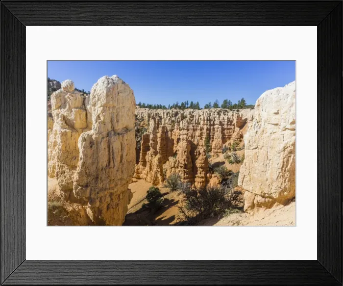 Framed Print : Hoodoo rock formations from the Fairyland Trail, Bryce Canyon National Park, Utah, United States of America, North America Framed Print : Hoodoo rock formations from the Fairyland Trail, Bryce Canyon National Park, Utah, United States of America, North America