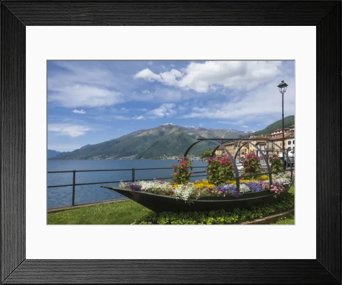 Framed Print : Flower boat, Domaso, Lake Como, Italian Lakes, Lombardy, Italy, Europe Framed Print : Flower boat, Domaso, Lake Como, Italian Lakes, Lombardy, Italy, Europe