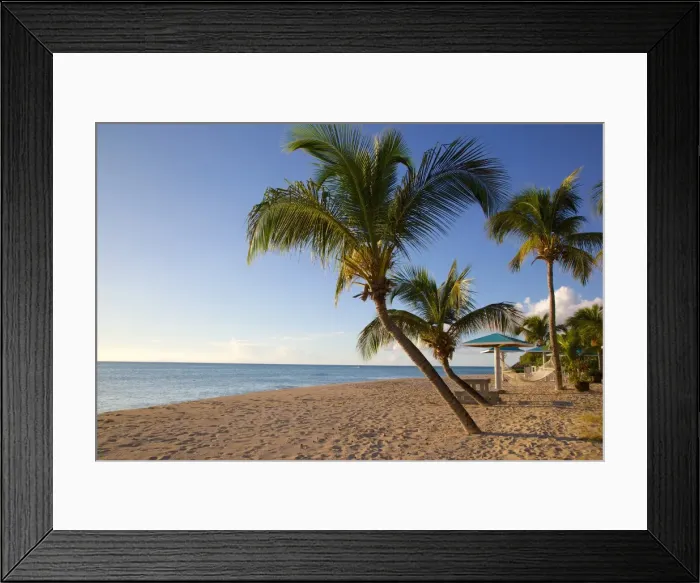 Framed Print : Hammock, Turners Beach, Antigua, Leeward Islands, West Indies, Caribbean, Central America Framed Print : Hammock, Turners Beach, Antigua, Leeward Islands, West Indies, Caribbean, Central America