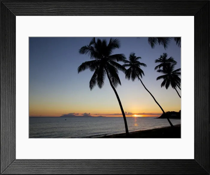 Framed Print : Palm trees and beach at sunset, Morris Bay, St. Mary, Antigua, Leeward Islands, West Indies, Caribbean, Central America Framed Print : Palm trees and beach at sunset, Morris Bay, St. Mary, Antigua, Leeward Islands, West Indies, Caribbean, Central America