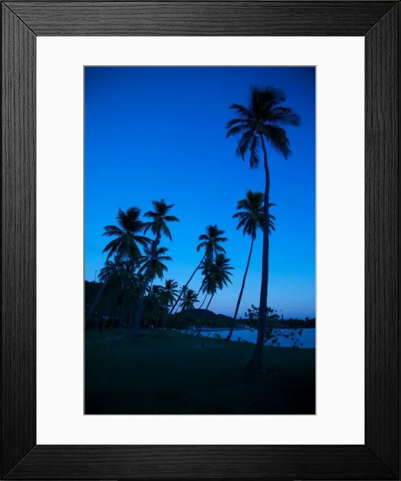 Framed Print : Palm trees and beach at dusk, Morris Bay, St. Mary, Antigua, Leeward Islands, West Indies, Caribbean, Central America Framed Print : Palm trees and beach at dusk, Morris Bay, St. Mary, Antigua, Leeward Islands, West Indies, Caribbean, Central America