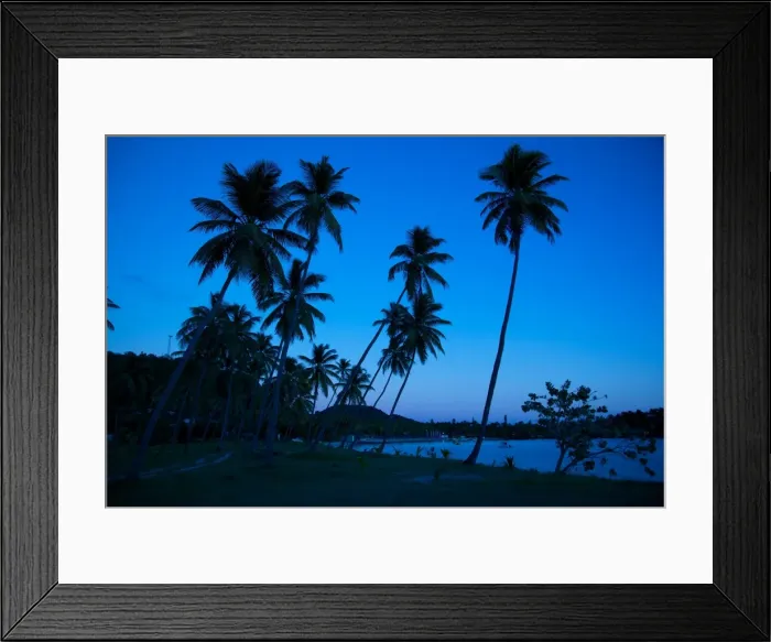 Framed Print : Palm trees and beach at dusk, Morris Bay, St. Mary, Antigua, Leeward Islands, West Indies, Caribbean, Central America Framed Print : Palm trees and beach at dusk, Morris Bay, St. Mary, Antigua, Leeward Islands, West Indies, Caribbean, Central America