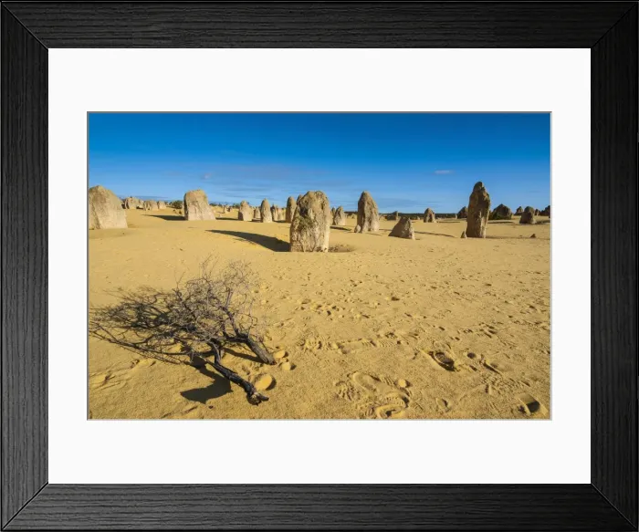Framed Print : The Pinnacles limestone formations at sunset in Nambung National Park, Western Australia, Australia, Pacific