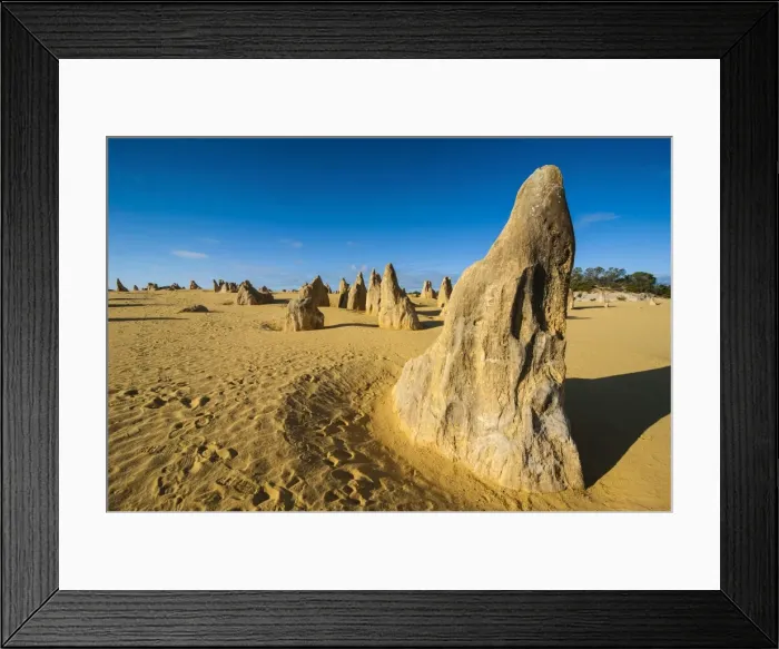 Framed Print : The Pinnacles limestone formations at sunset contained within Nambung National Park, Western Australia, Australia, Pacific Framed Print : The Pinnacles limestone formations at sunset contained within Nambung National Park, Western Australia, Australia, Pacific