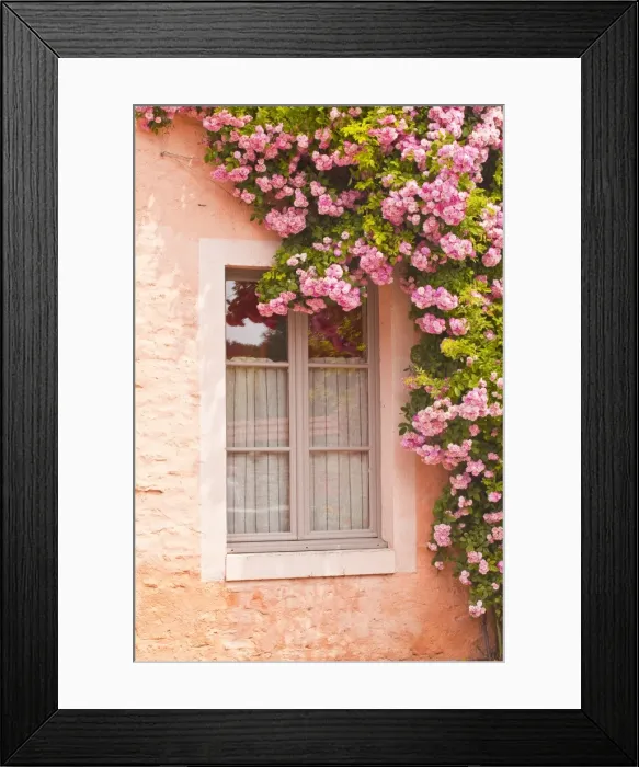 Framed Print : A rose covered window in the village of Noyers sur Serein in Yonne, Burgundy, France, Europe Framed Print : A rose covered window in the village of Noyers sur Serein in Yonne, Burgundy, France, Europe
