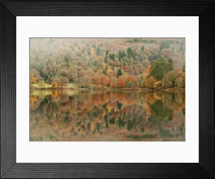 Framed Print : Autumn colours reflected in Grasmere Lake in the Lake District National Park, Cumbria, England, United Kingdom, Europe Framed Print : Autumn colours reflected in Grasmere Lake in the Lake District National Park, Cumbria, England, United Kingdom, Europe