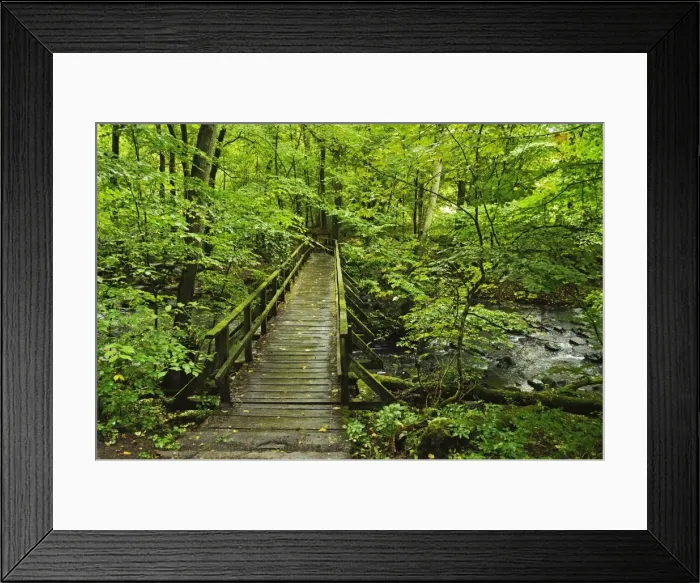 Framed Print : Wooden bridge, Holzbachtal, Westerwald, Rhineland-Palatinate, Germany, Europe Framed Print : Wooden bridge, Holzbachtal, Westerwald, Rhineland-Palatinate, Germany, Europe