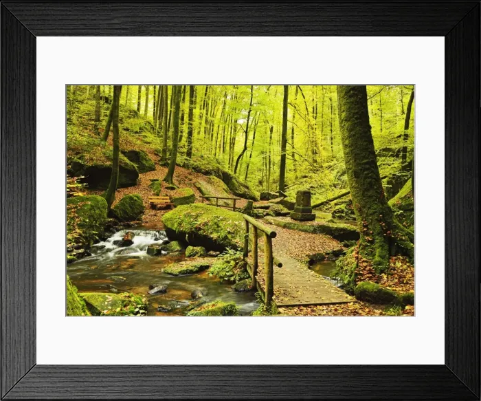 Framed Print : Karlstal gorge, near Trippstadt, Palatinate Forest, Rhineland-Palatinate, Germany, Europe Framed Print : Karlstal gorge, near Trippstadt, Palatinate Forest, Rhineland-Palatinate, Germany, Europe