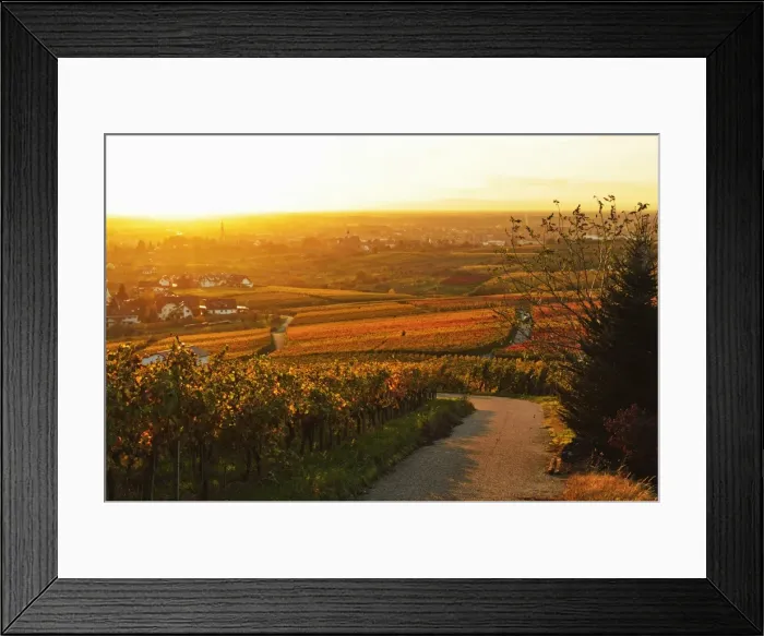 Framed Print : Vineyard landscape and Buehlertal village, Ortenau, Baden Wine Route, Baden-Wurttemberg, Germany, Europe Framed Print : Vineyard landscape and Buehlertal village, Ortenau, Baden Wine Route, Baden-Wurttemberg, Germany, Europe