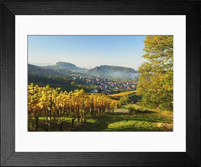 Framed Print : Vineyard landscape and Riegel village, Ortenau, Baden Wine Route, Baden-Wurttemberg, Germany, Europe Framed Print : Vineyard landscape and Riegel village, Ortenau, Baden Wine Route, Baden-Wurttemberg, Germany, Europe