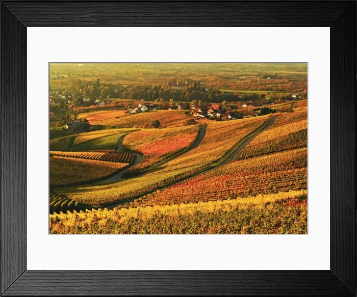 Framed Print : Vineyard landscape and Blumberg village, Ortenau, Baden Wine Route, Baden-Wurttemberg, Germany, Europe Framed Print : Vineyard landscape and Blumberg village, Ortenau, Baden Wine Route, Baden-Wurttemberg, Germany, Europe