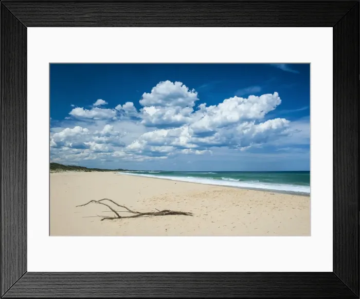 Framed Print : Tree branch on a sandy beach in Cape Conran Coastal Park, Victoria, Australia, Pacific Framed Print : Tree branch on a sandy beach in Cape Conran Coastal Park, Victoria, Australia, Pacific