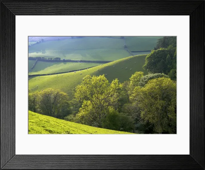 Framed Print : Landscape in Powys, Wales, United Kingdom, Europe Framed Print : Landscape in Powys, Wales, United Kingdom, Europe