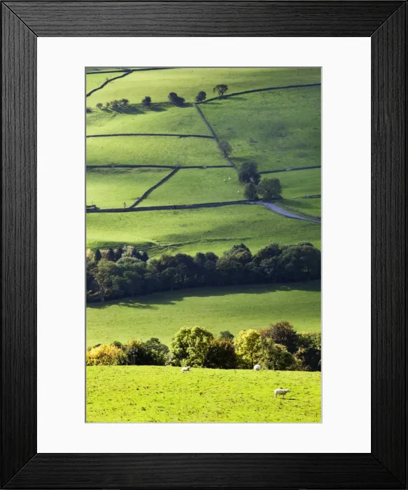 Framed Print : Fields and dry stone walls in Nidderdale, Pateley Bridge, North Yorkshire, Yorkshire, England, United Kingdom, Europe Framed Print : Fields and dry stone walls in Nidderdale, Pateley Bridge, North Yorkshire, Yorkshire, England, United Kingdom, Europe