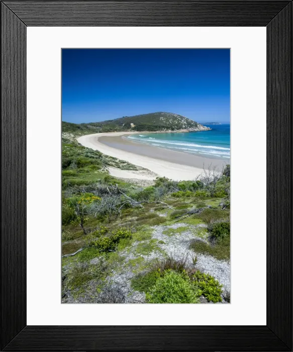 Framed Print : Long wide sandy beach in the Wilsons Promontory National Park, Victoria, Australia, Pacific Framed Print : Long wide sandy beach in the Wilsons Promontory National Park, Victoria, Australia, Pacific