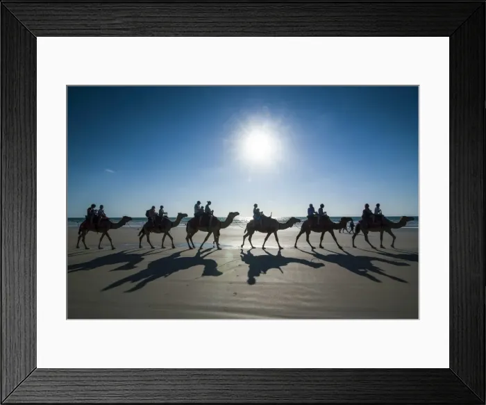 Framed Print : Silhouettes of tourists riding on camels on Cable Beach, Broome, Western Australia, Australia, Pacific Framed Print : Silhouettes of tourists riding on camels on Cable Beach, Broome, Western Australia, Australia, Pacific