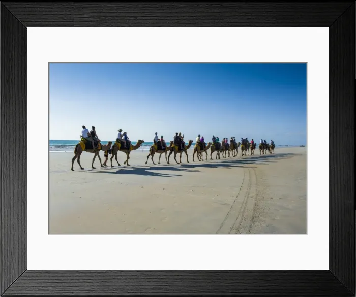 Framed Print : Tourists riding on camels on Cable Beach, Broome, Western Australia, Australia, Pacific Framed Print : Tourists riding on camels on Cable Beach, Broome, Western Australia, Australia, Pacific