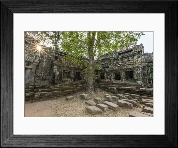 Framed Print : Jungle surrounded ruins at Ta Prohm Temple (Rajavihara), Angkor, UNESCO World Heritage Site, Siem Reap Province, Cambodia, Indochina, Southeast Asia, Asia Framed Print : Jungle surrounded ruins at Ta Prohm Temple (Rajavihara), Angkor, UNESCO World Heritage Site, Siem Reap Province, Cambodia, Indochina, Southeast Asia, Asia