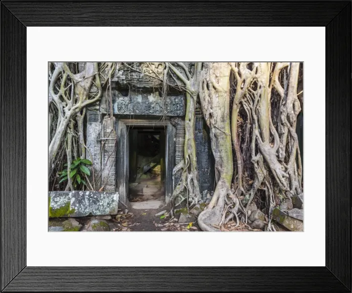 Framed Print : Jungle overgrowth at Ta Prohm Temple (Rajavihara), Angkor, UNESCO World Heritage Site, Siem Reap Province, Cambodia, Indochina, Southeast Asia, Asia Framed Print : Jungle overgrowth at Ta Prohm Temple (Rajavihara), Angkor, UNESCO World Heritage Site, Siem Reap Province, Cambodia, Indochina, Southeast Asia, Asia