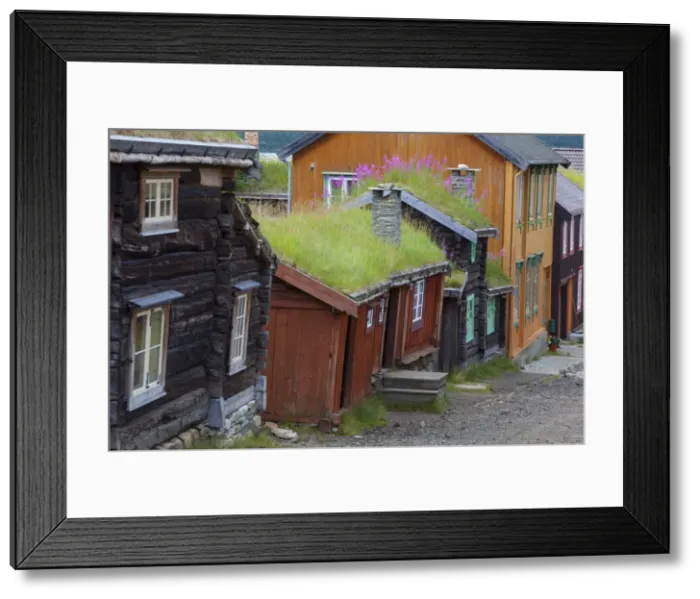 Framed Print : The old mining town of Roros, Sor-Trondelag County, Gauldal District, Norway, Scandinavia, Europe Framed Print : The old mining town of Roros, Sor-Trondelag County, Gauldal District, Norway, Scandinavia, Europe