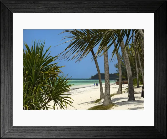 Framed Print : Palm trees, Bwejuu Beach, Zanzibar, Tanzania, Indian Ocean, East Africa, Africa Framed Print : Palm trees, Bwejuu Beach, Zanzibar, Tanzania, Indian Ocean, East Africa, Africa