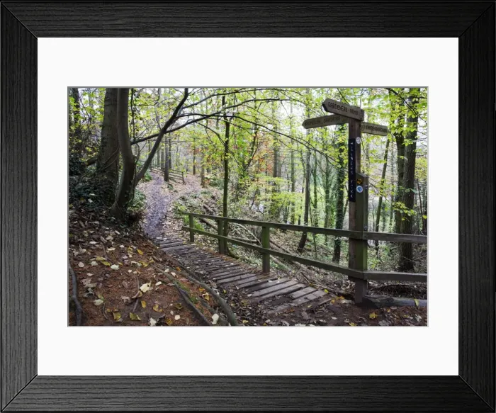 Framed Print : Footpath sign at Milners Fork in Nidd Gorge Woods near Bilton, Harrogate, North Yorkshire, Yorkshire, England, United Kingdom, Europe Framed Print : Footpath sign at Milners Fork in Nidd Gorge Woods near Bilton, Harrogate, North Yorkshire, Yorkshire, England, United Kingdom, Europe