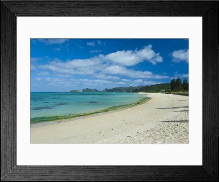 Framed Print : White sand beach, Lord Howe Island, UNESCO World Heritage Site, Australia, Tasman Sea, Pacific Framed Print : White sand beach, Lord Howe Island, UNESCO World Heritage Site, Australia, Tasman Sea, Pacific