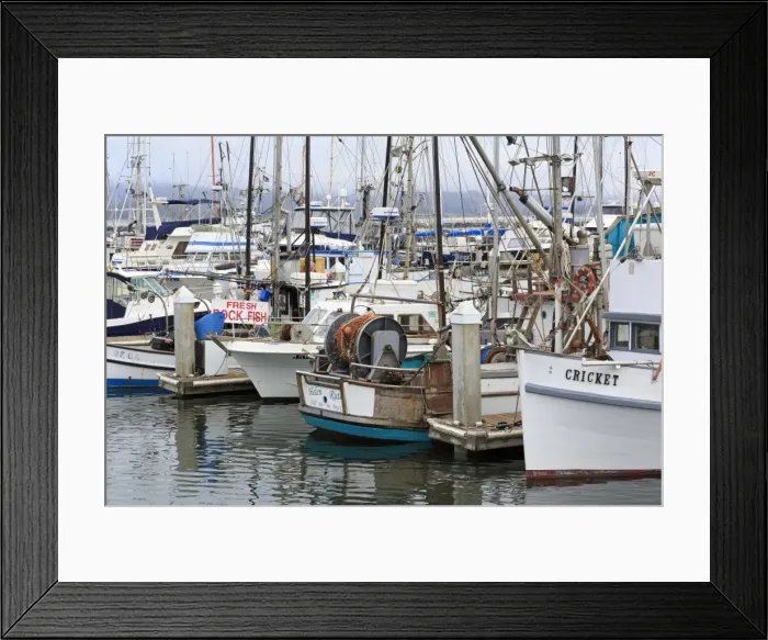 Framed Print : Marina in Pillar Point Harbor, Half Moon Bay, California, United States of America, North America Framed Print : Marina in Pillar Point Harbor, Half Moon Bay, California, United States of America, North America