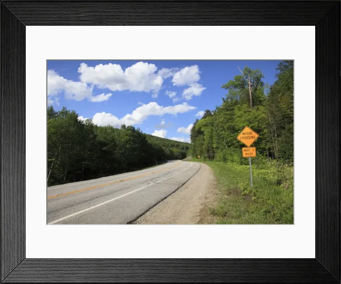 Framed Print : Moose Crossing Sign, White Mountain National Forest, New Hampshire, New England, United States of America, North America Framed Print : Moose Crossing Sign, White Mountain National Forest, New Hampshire, New England, United States of America, North America