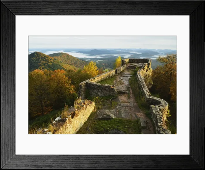 Framed Print : Wegelnburg castle, Palatinate Forest, Rhineland-Palatinate, Germany, Europe Framed Print : Wegelnburg castle, Palatinate Forest, Rhineland-Palatinate, Germany, Europe