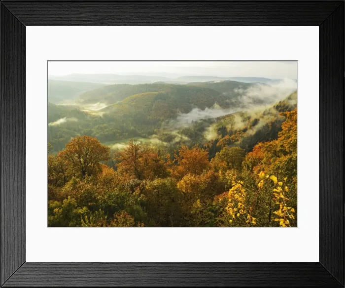 Framed Print : Early morning view from Wegelnburg castle of the Palatinate Forest, Rhineland-Palatinate, Germany, Europe Framed Print : Early morning view from Wegelnburg castle of the Palatinate Forest, Rhineland-Palatinate, Germany, Europe