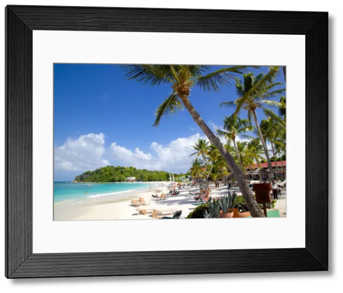 Framed Print : Beach and palm trees, Long Bay, Antigua, Leeward Islands, West Indies, Caribbean, Central America Framed Print : Beach and palm trees, Long Bay, Antigua, Leeward Islands, West Indies, Caribbean, Central America