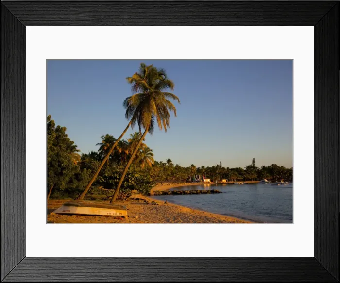 Framed Print : Palm trees and beach at sunset, Morris Bay, St. Mary, Antigua, Leeward Islands, West Indies, Caribbean, Central America Framed Print : Palm trees and beach at sunset, Morris Bay, St. Mary, Antigua, Leeward Islands, West Indies, Caribbean, Central America