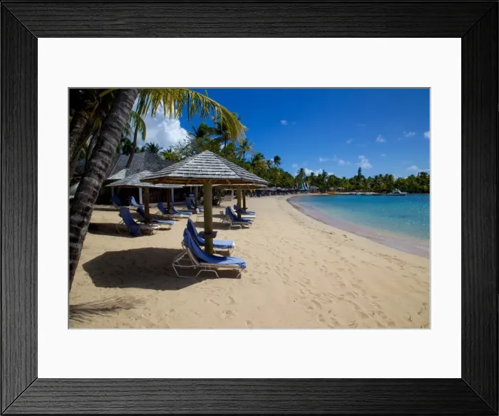 Framed Print : Palm trees and beach, Morris Bay, St. Mary, Antigua, Leeward Islands, West Indies, Caribbean, Central America Framed Print : Palm trees and beach, Morris Bay, St. Mary, Antigua, Leeward Islands, West Indies, Caribbean, Central America