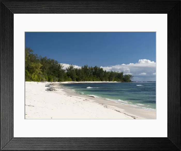 Framed Print : Denis Island, Seychelles, Indian Ocean, Africa