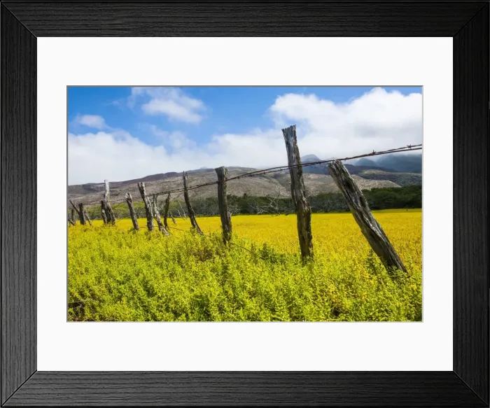 Framed Print : Island of Molokai, Hawaii, United States of America, Pacific Framed Print : Island of Molokai, Hawaii, United States of America, Pacific
