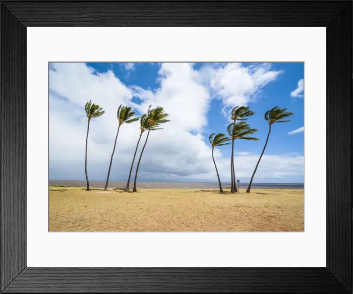 Framed Print : Palm trees, Kakahaia Beach Park, island of Molokai, Hawaii, United States of America, Pacific Framed Print : Palm trees, Kakahaia Beach Park, island of Molokai, Hawaii, United States of America, Pacific