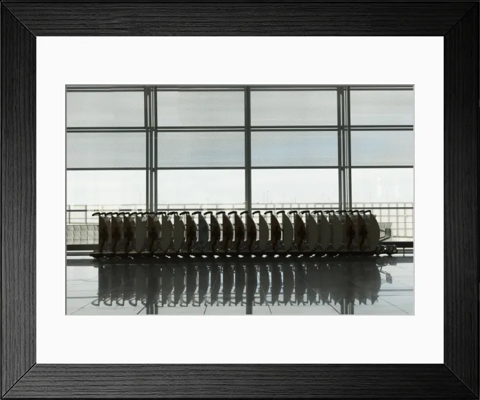 Framed Print : Baggage carts in an airport, Prague, Czech Republic, Europe Framed Print : Baggage carts in an airport, Prague, Czech Republic, Europe