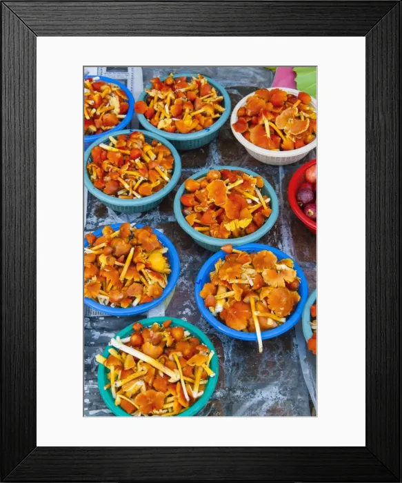 Framed Print : Kulat local mushrooms, food market, Serian, Sarawak, Malaysian Borneo, Malaysia, Southeast Asia, Asia Framed Print : Kulat local mushrooms, food market, Serian, Sarawak, Malaysian Borneo, Malaysia, Southeast Asia, Asia